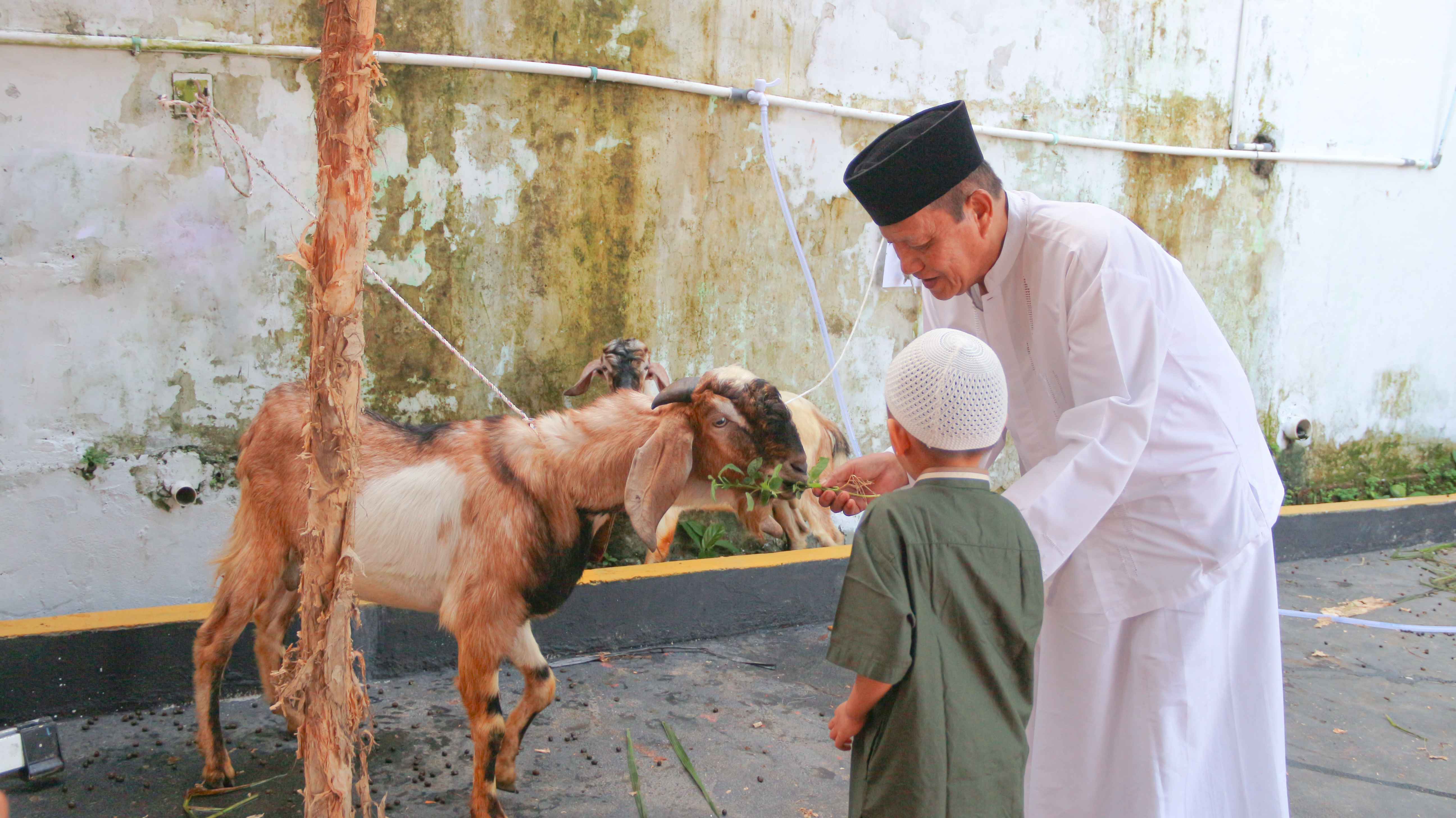 Menyelami Makna Idul Qurban: Pengorbanan, Kepedulian, dan Pembersihan Jiwa